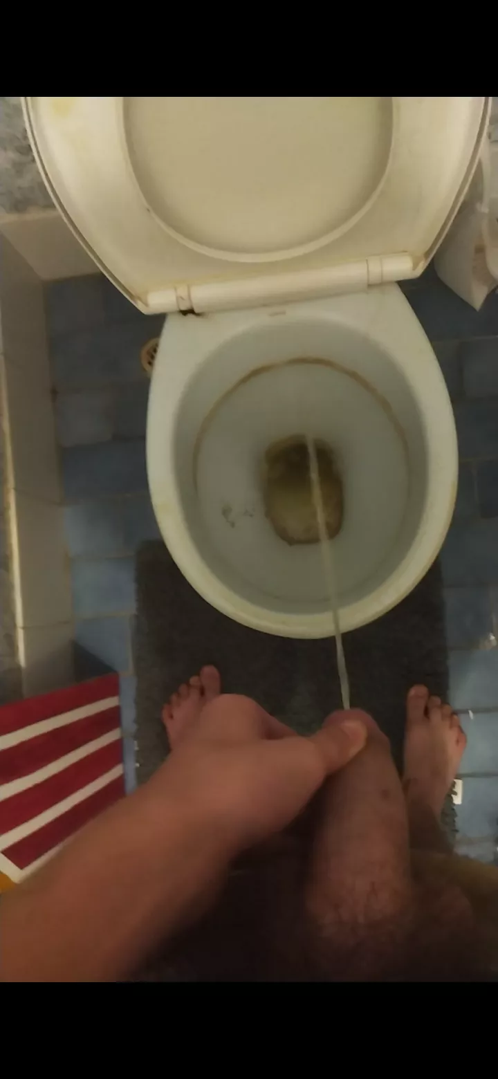 Rock hard while trying to piss! posted by TwinkBigAss249