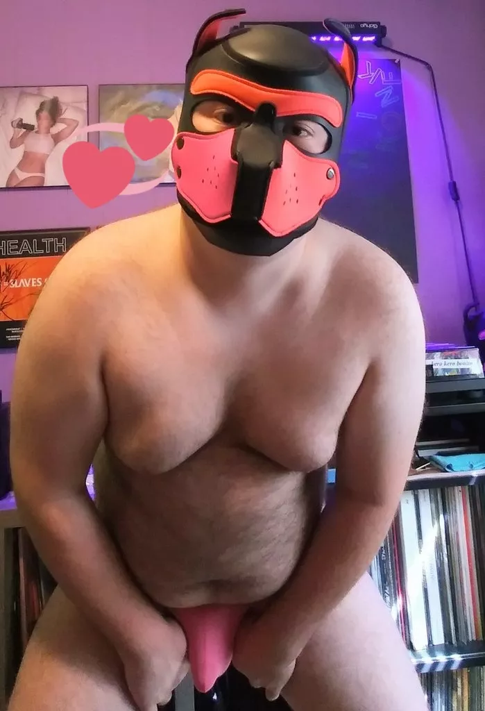 rub my tummy? 🥺👉👈 posted by puppiggy