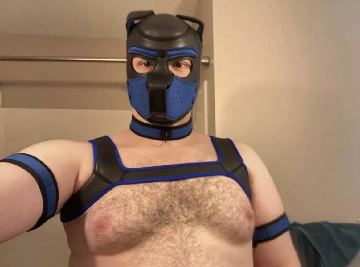 Ruff Ruff!! Gift from my trainer for completing the first part of my training. posted by Vermicell_evenings