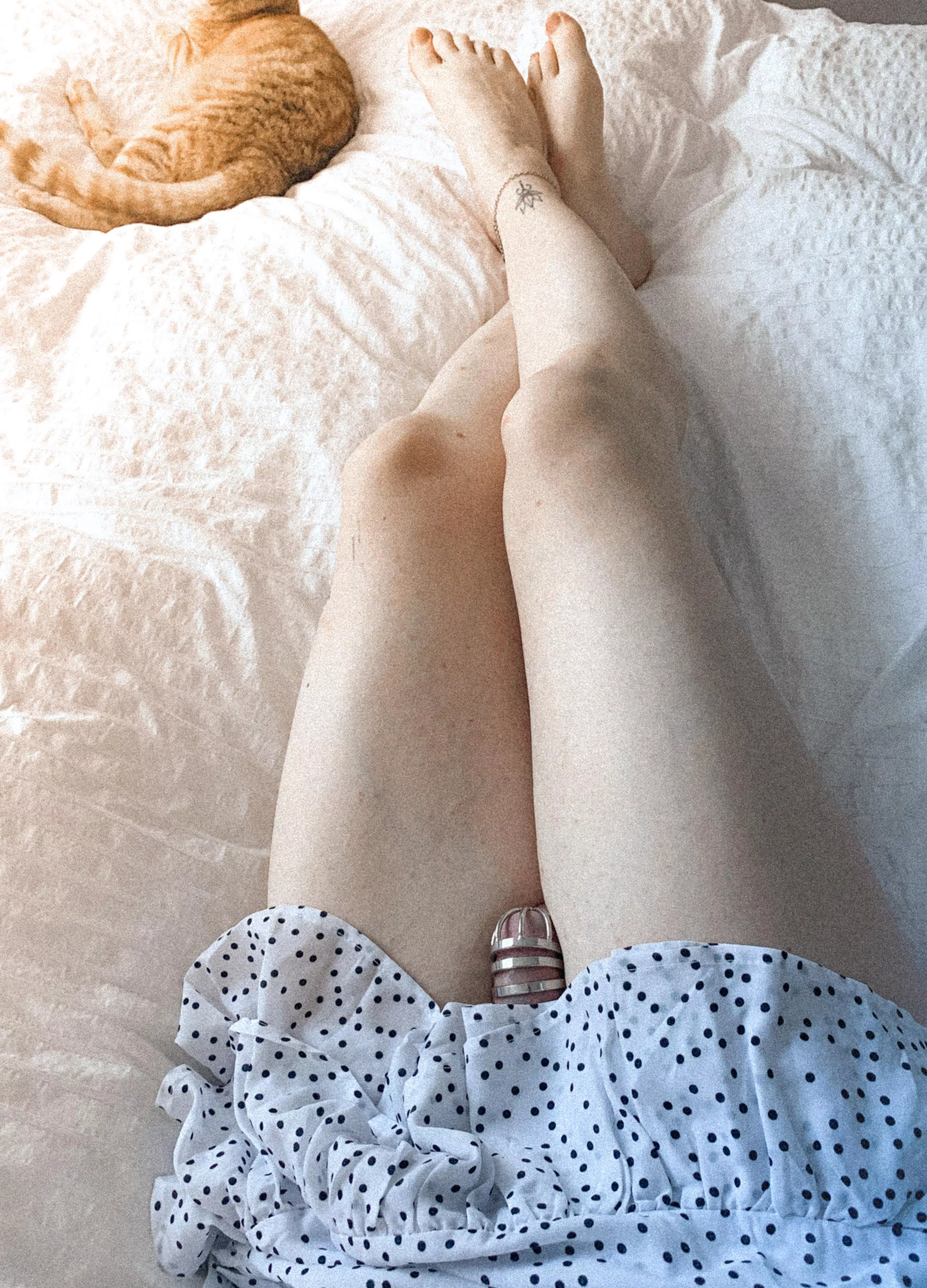 Safely put away 🔒 posted by separtian