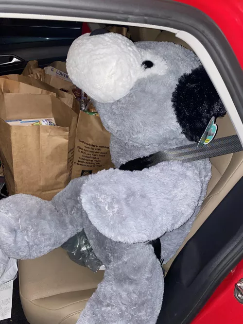 Safety first! 😁 by Accomplished_Frame91