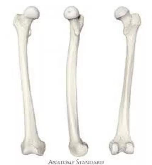 [Sans’s boner] by Dear-Investigator439