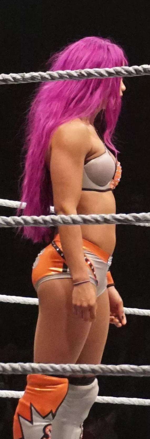 Sasha Banks slim 🍑 posted by PriorAttempt9850