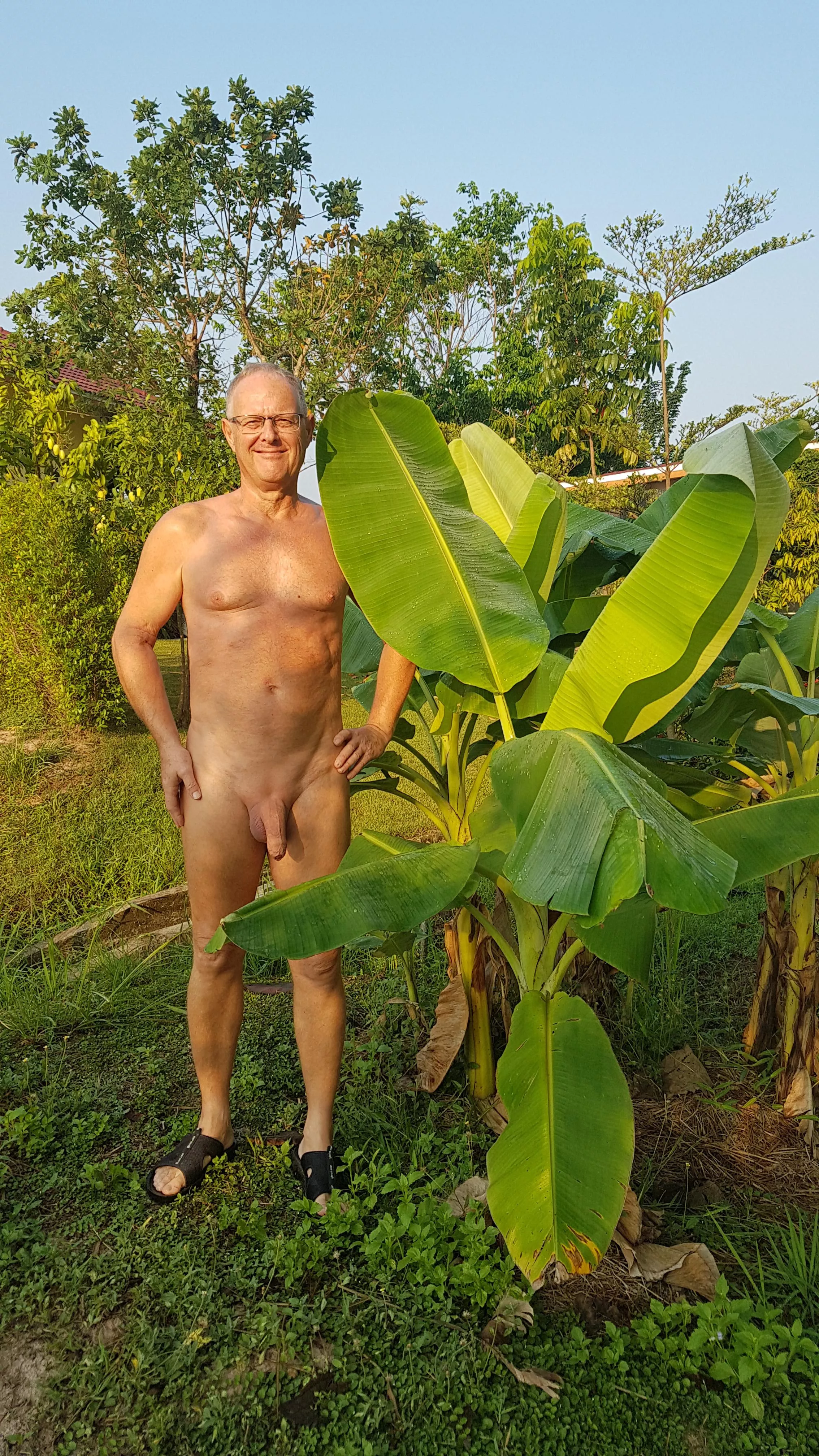 Saturday early morning, in my green garden posted by znarf-fesoj