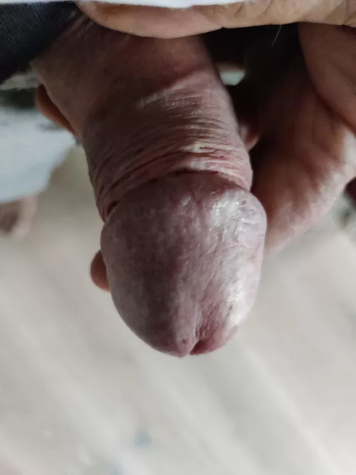 Saturday morning. Just a little horny by No_Corner1042