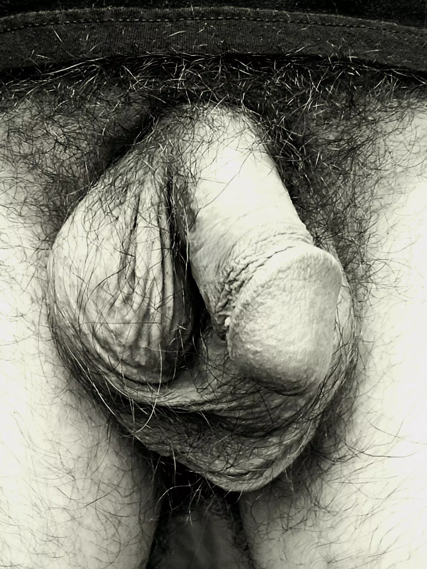 Saturday nights posted by Archiguy2020