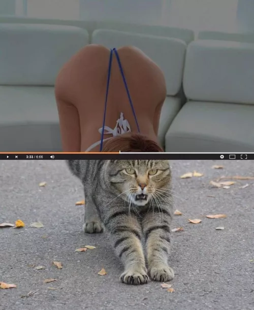 Sauce for the top pic please. by darkstar_randil