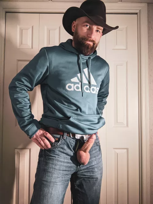 save a horse by hoitbs