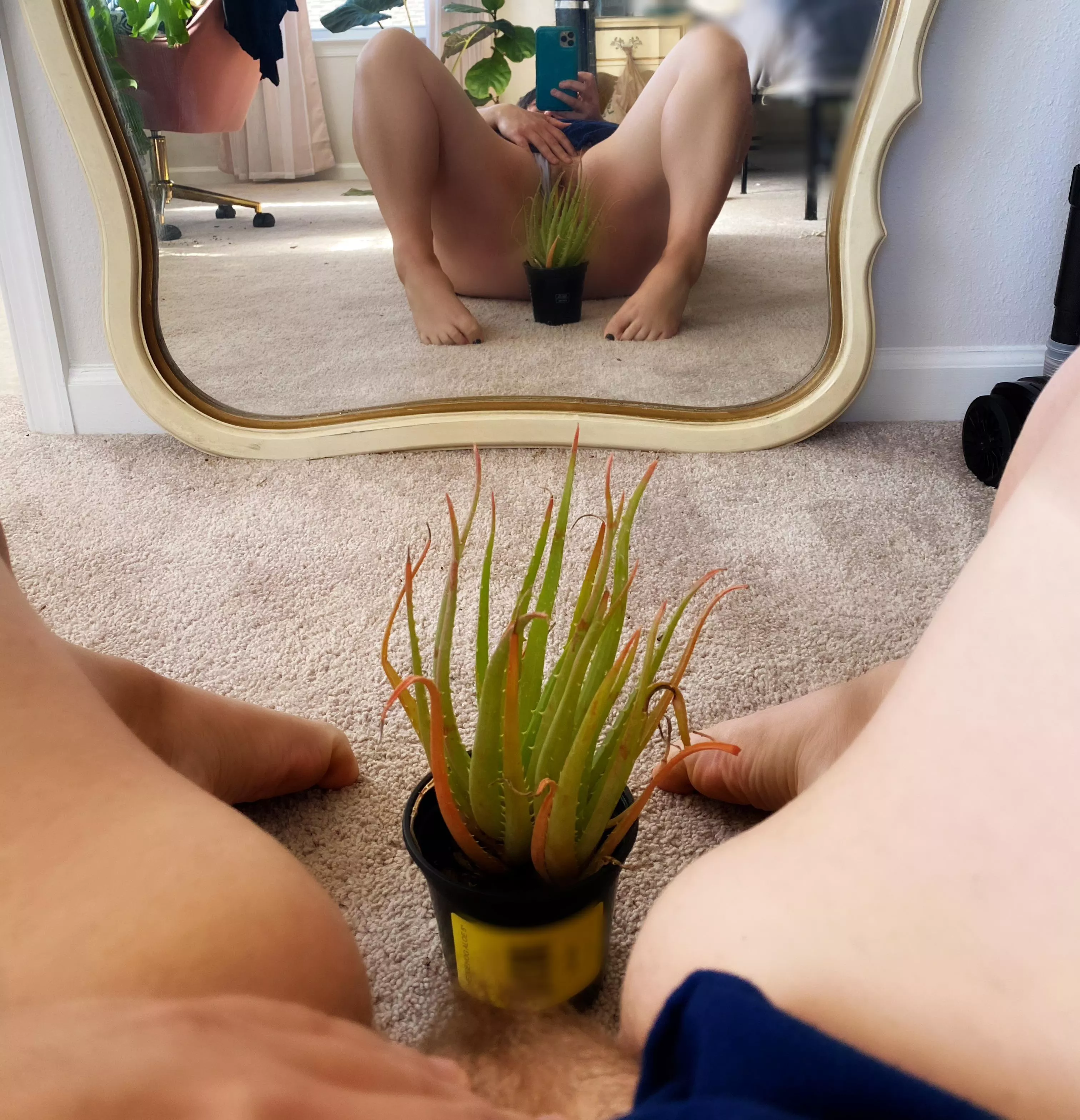 Say aloe to my Octopussy posted by Amelia_jones2087