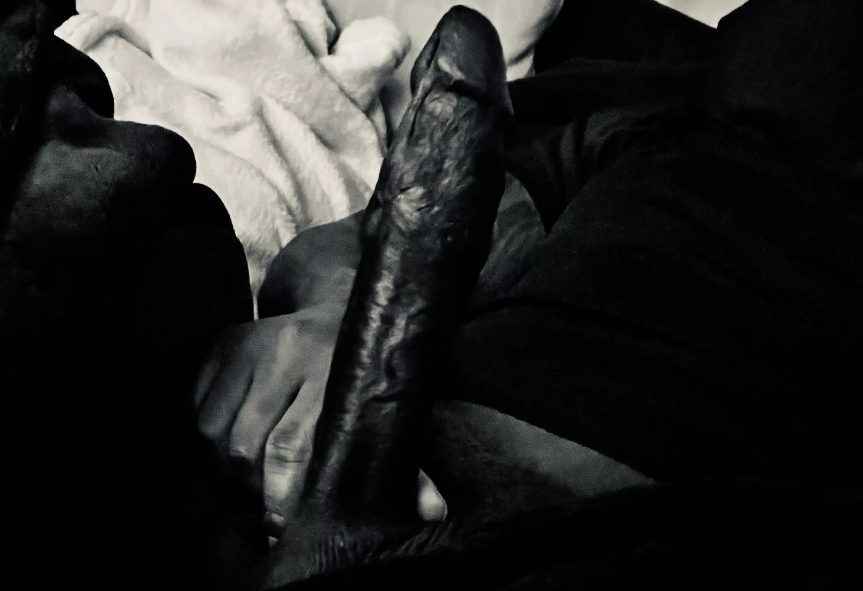 Say hello posted by kingdarkest