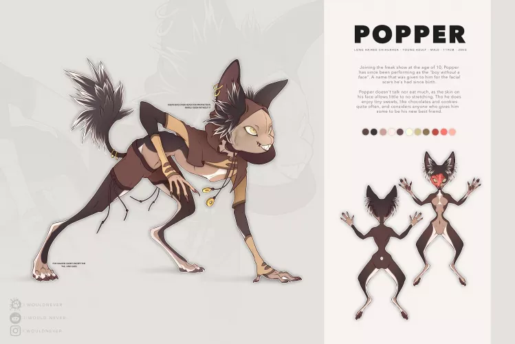 Say hello to Popper! by -I-would-never-
