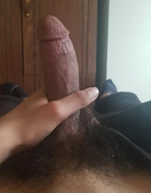 Say hi for your master, dms open by wtfisahmedlol