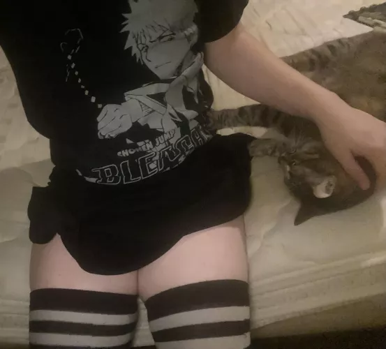 Say hi to my cat :3 by Alternative_Dark_814