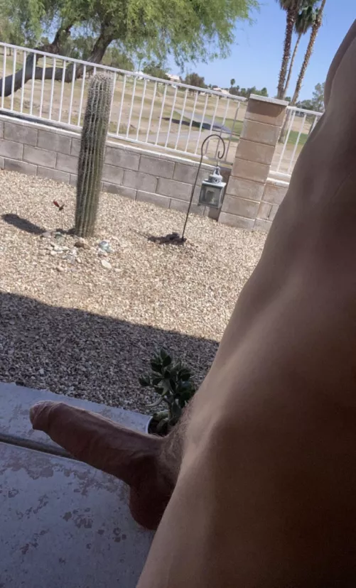 saying hi to my neighbors, how would u react? by cotbinjames03