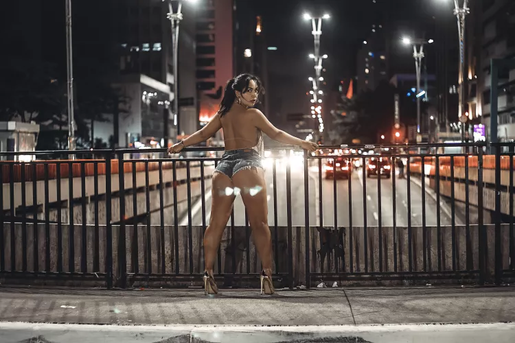 Sayuri Syor, Japan Brazil by ssjapanbrazilof