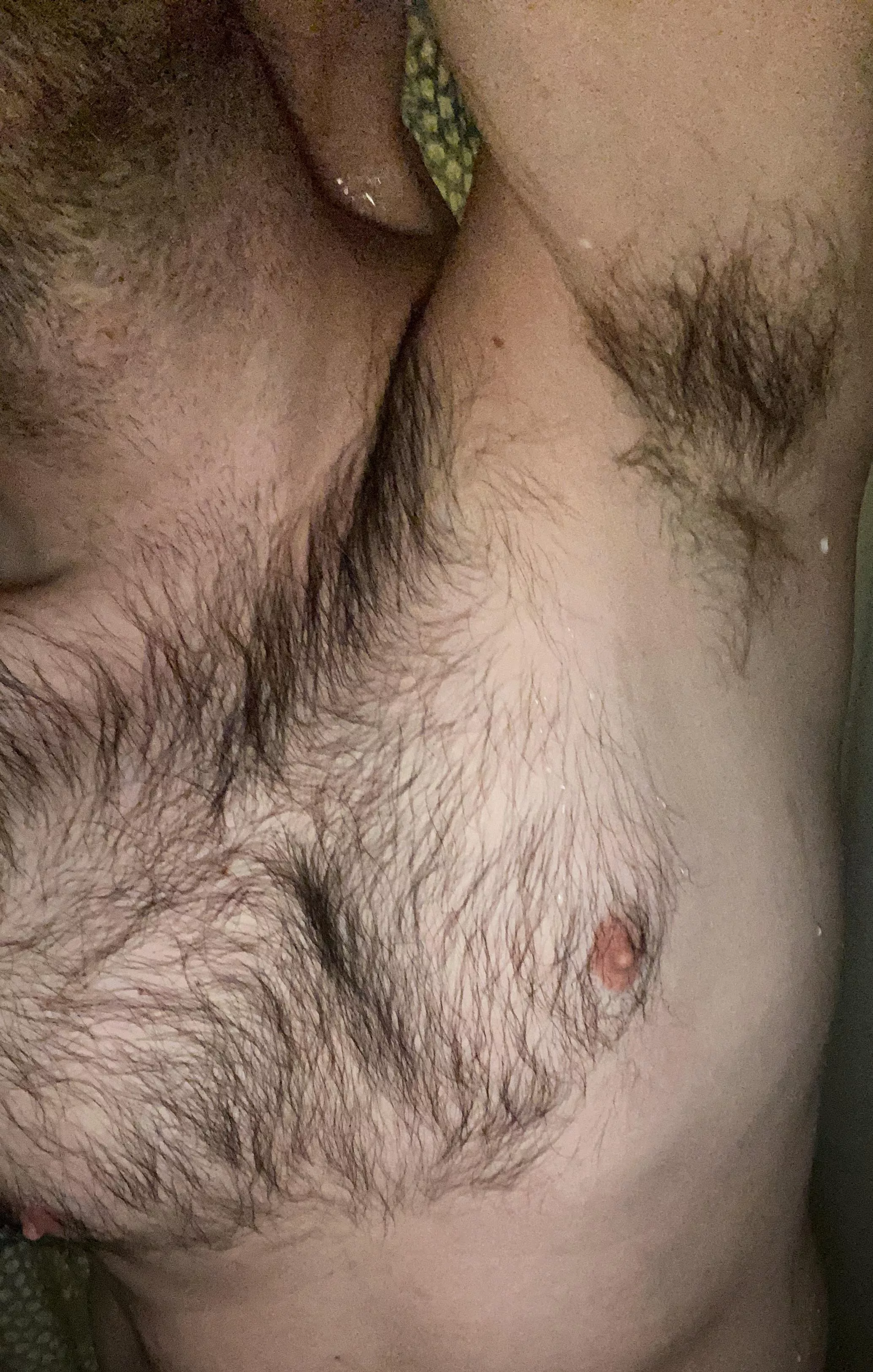 Scrub me down? posted by SingleMusician9651