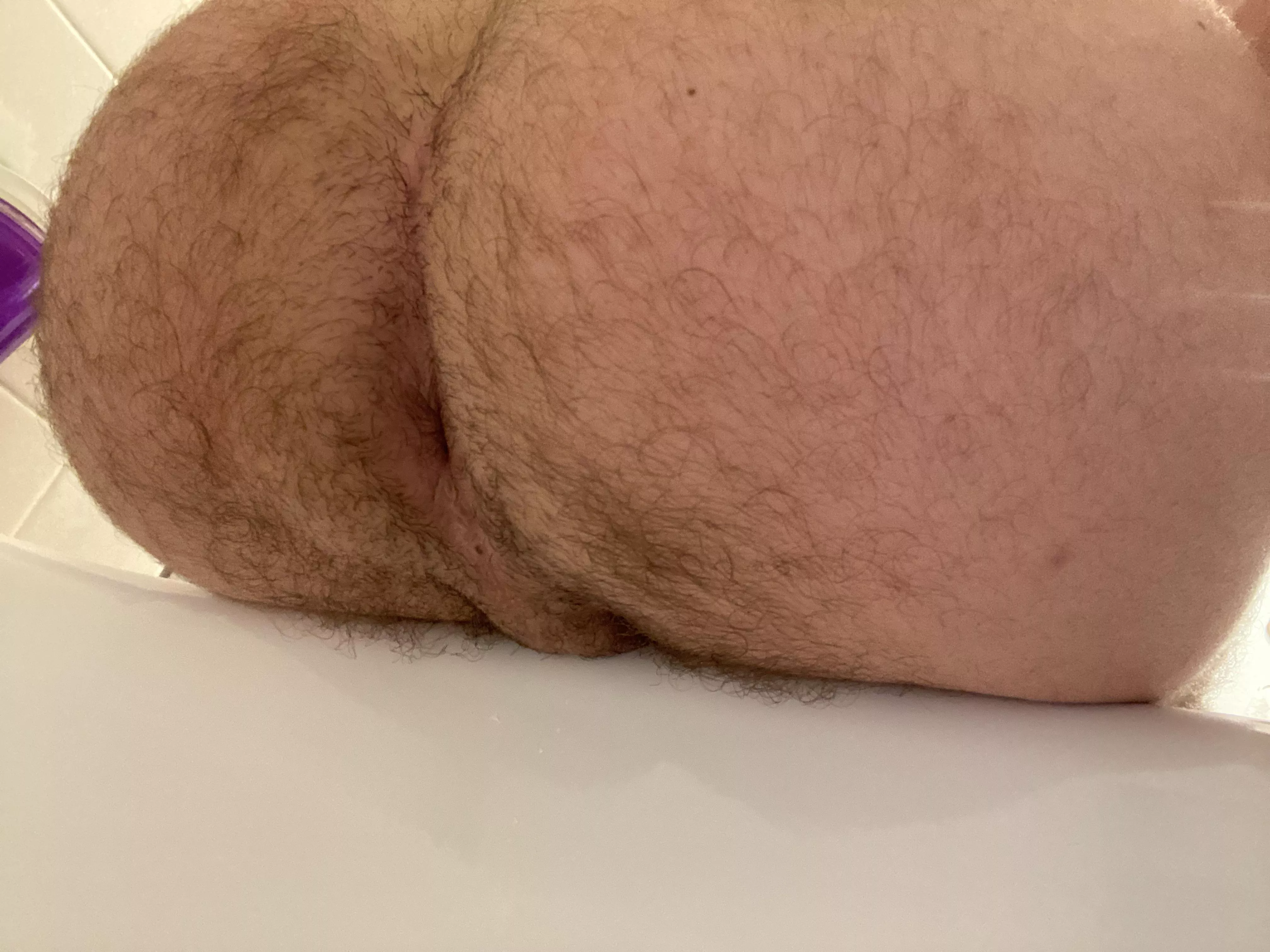 See anything tasty? posted by 1622ak