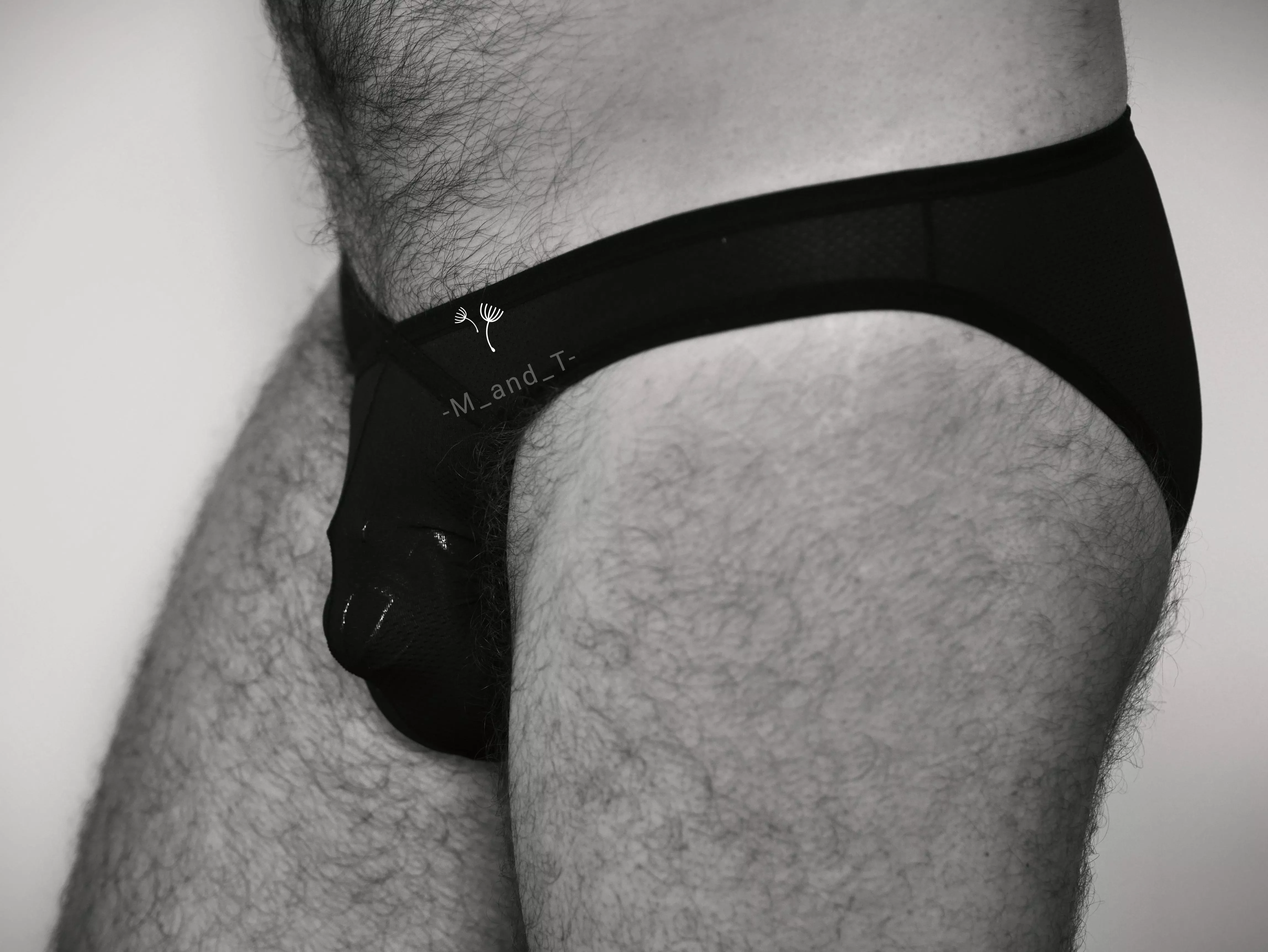 Seems like a good fit? [OC] posted by -M_and_T-