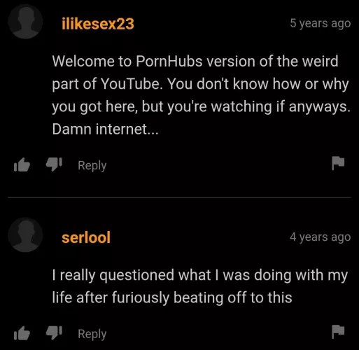 Seems PornHub traumatized some people by RedstoneGuy13