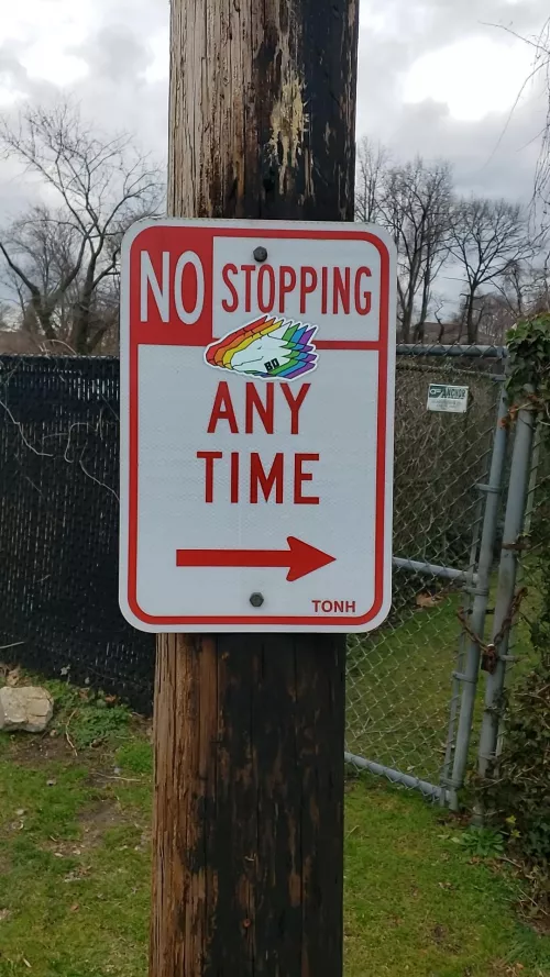 seen in the wild..... by MooseGoneApe