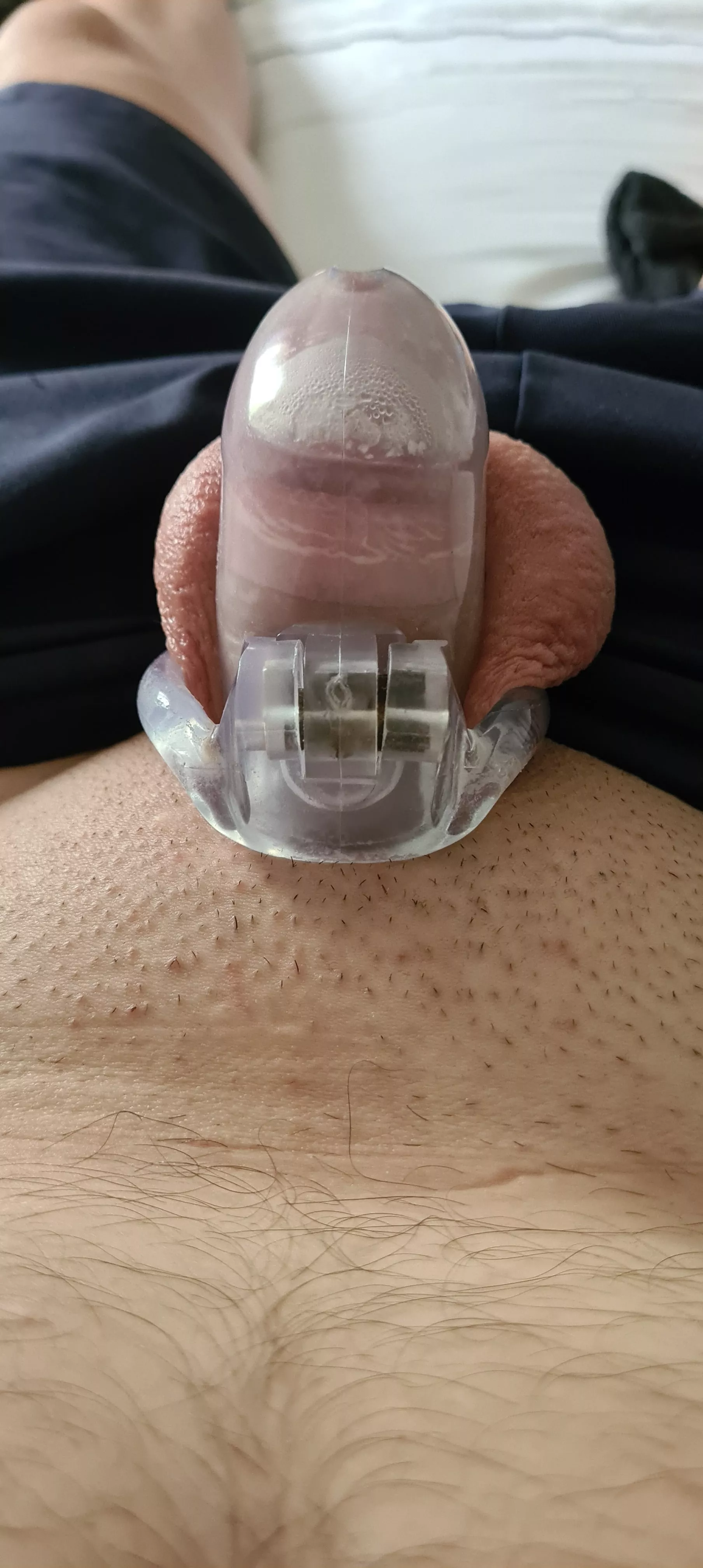 Self locked, trying to beat my previous record of 3 months. Day 11 now posted by SweetFeet84