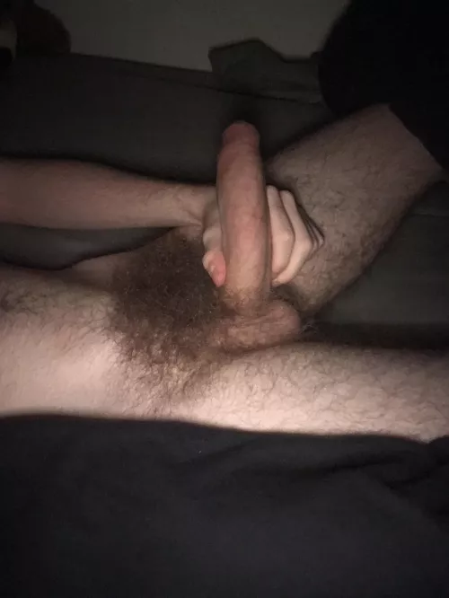 Semi dick with a big bush, DM me all the dirty things you’d do 😈😈 by Cavvy1243