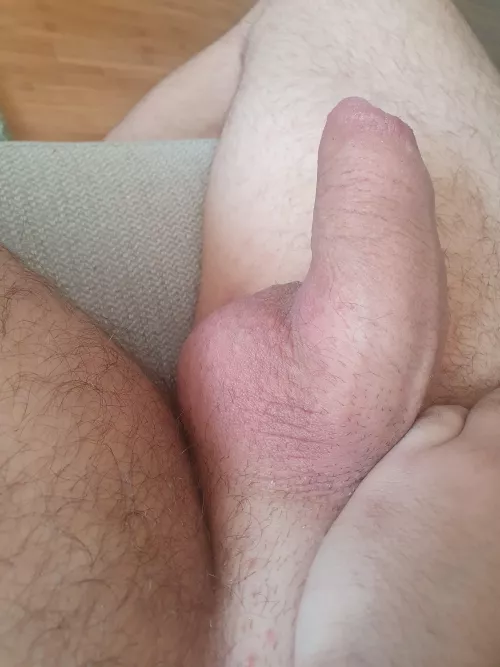 Semi hard and uncut by yourcollegefriend22