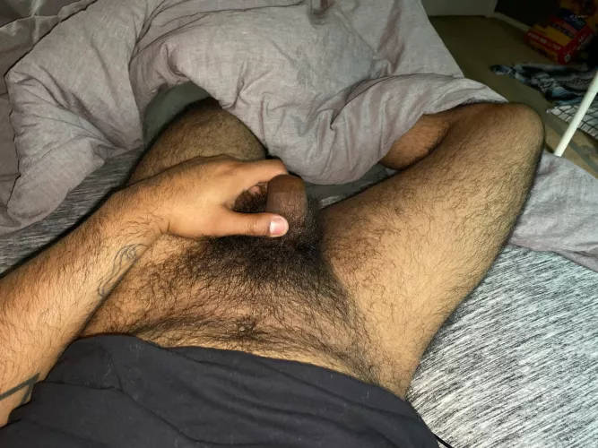 Send me porn links by Calm_Trip9822