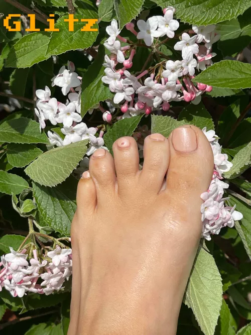 Set is the strongest tie to memories! by glitz_titz