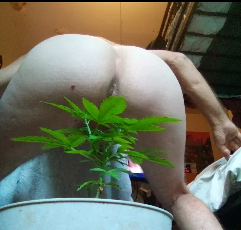 sex is fun sex is free and I want to know the feel of you in me posted by dallastxn57