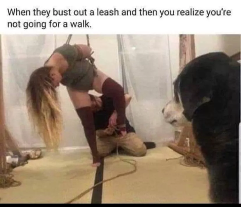 Sexy And Funny posted by BrandonTodd77