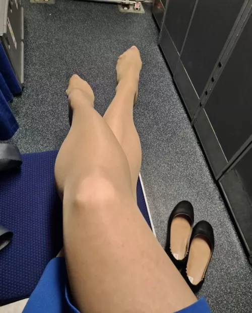 Sexy flight attendant by arrayoutofbounds