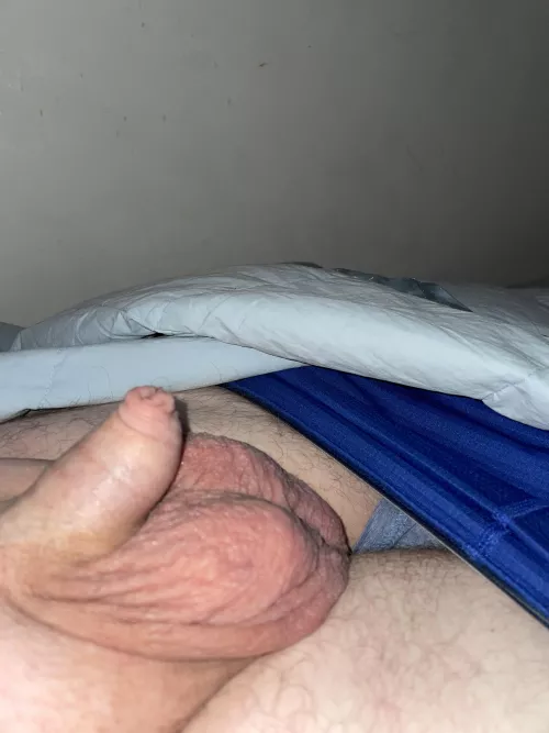 S.F.D. (40) by Friendly-Jacket-1793