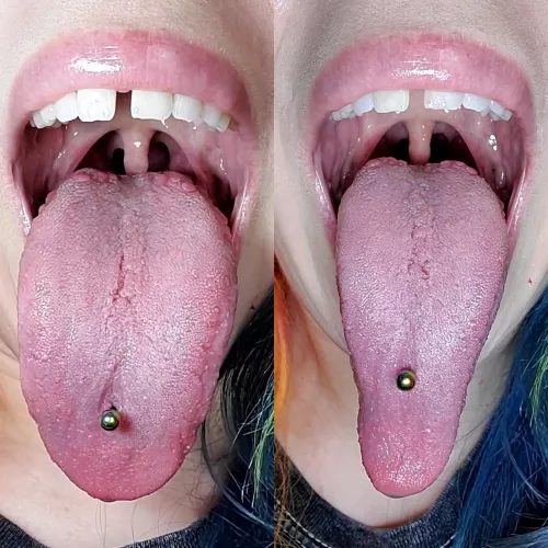 Sfw? Up close and personal, HD, lots of dexterity and plenty of room for whatever is put inside by lilmistressfluffy