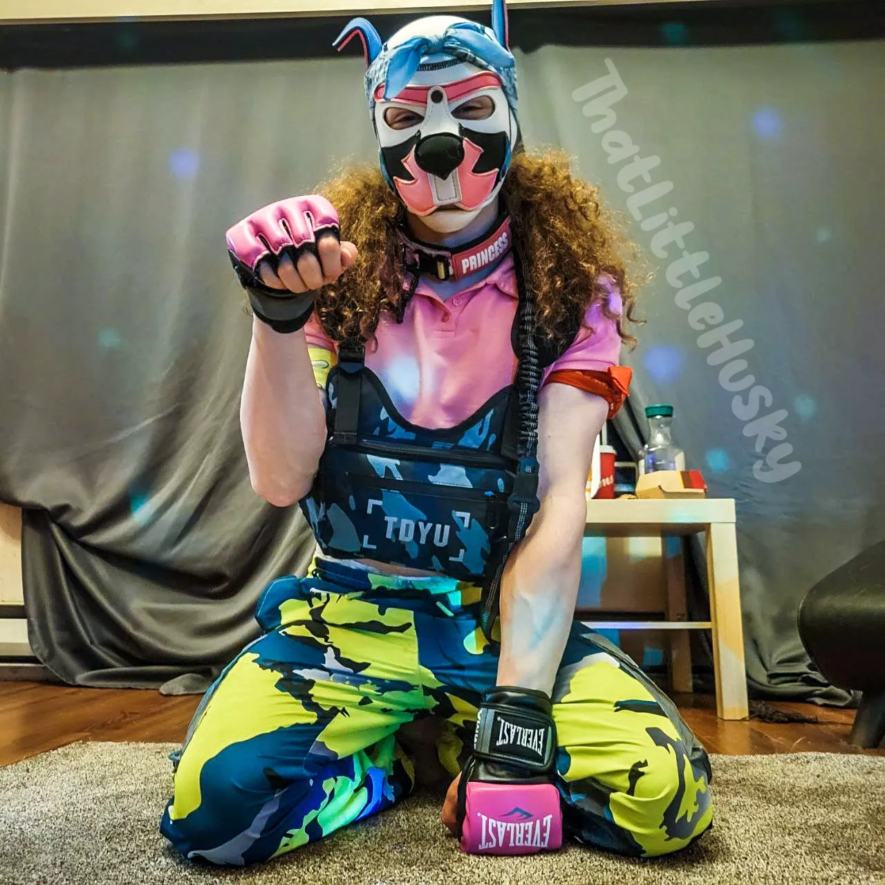 Shake a paw? 💛🐕‍🦺 posted by ThatLittleHusky