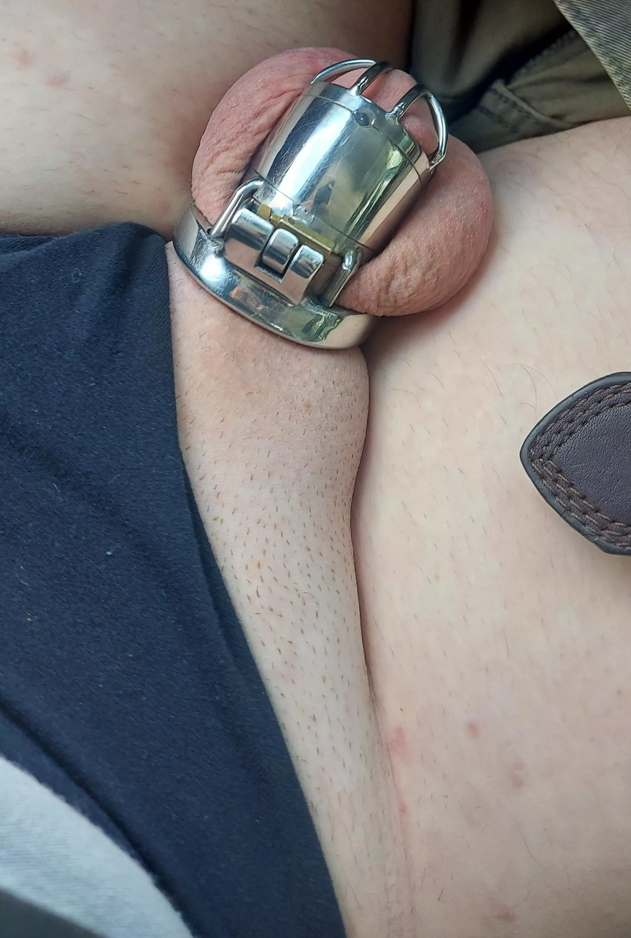 shaved and locked up tight posted by UnderstandingFit433