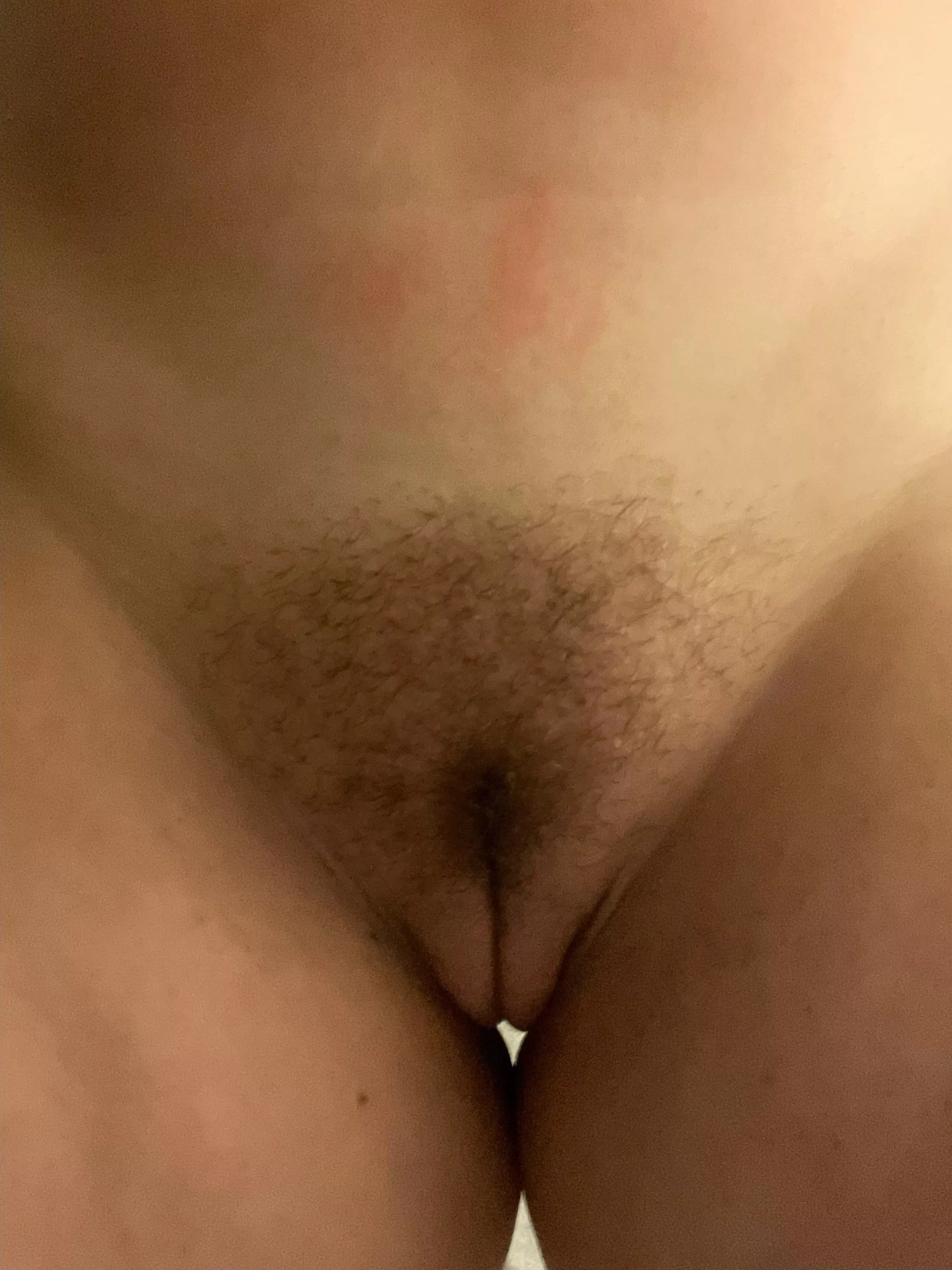 She appeased me with my request for a winter bush, now I’m trying to convince her to keep it around for a bit longer! posted by chocolatethunder1216