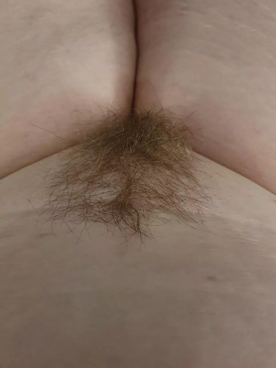 She looks tasty, doesn’t she? posted by bustymaebry