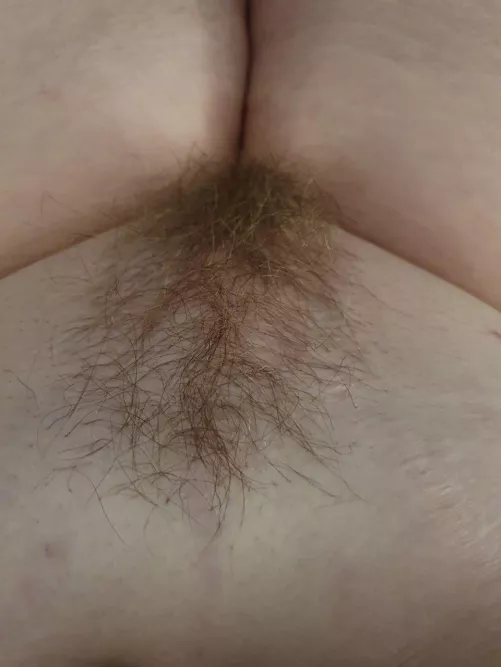 She looks tasty, doesn’t she? by bustymaebry