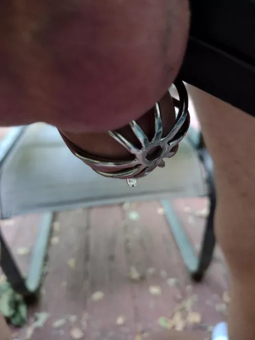 She said I had to post this photo of my cock crying the other day on our back porch while she was enjoying a smoke and the remote control vibrator she shoved up my ass. 🫣🤢 by limpnleaking