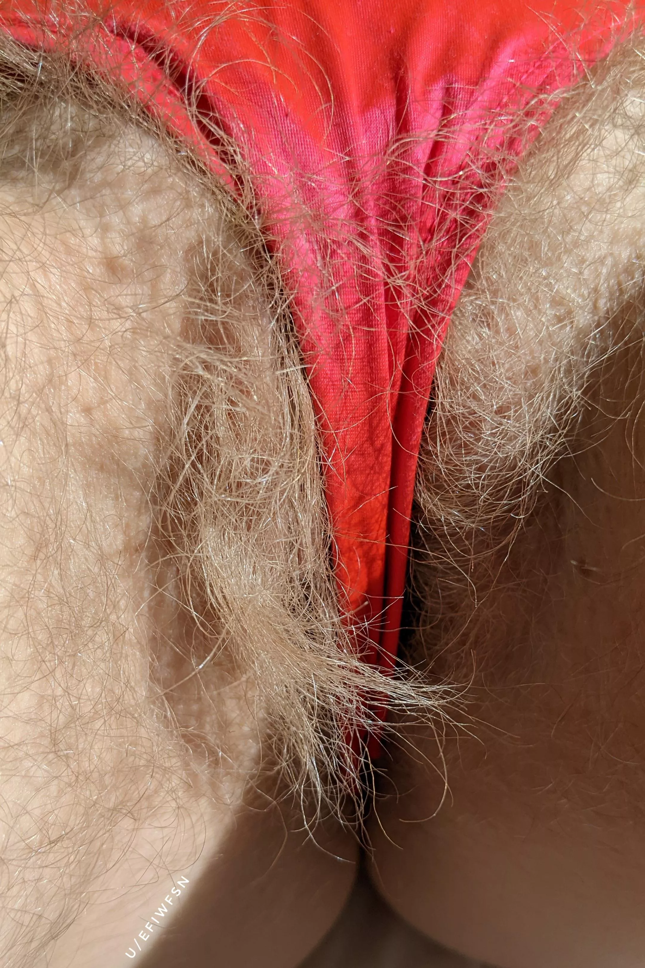 She's almost as soft as the hair on my head posted by efiwfsn