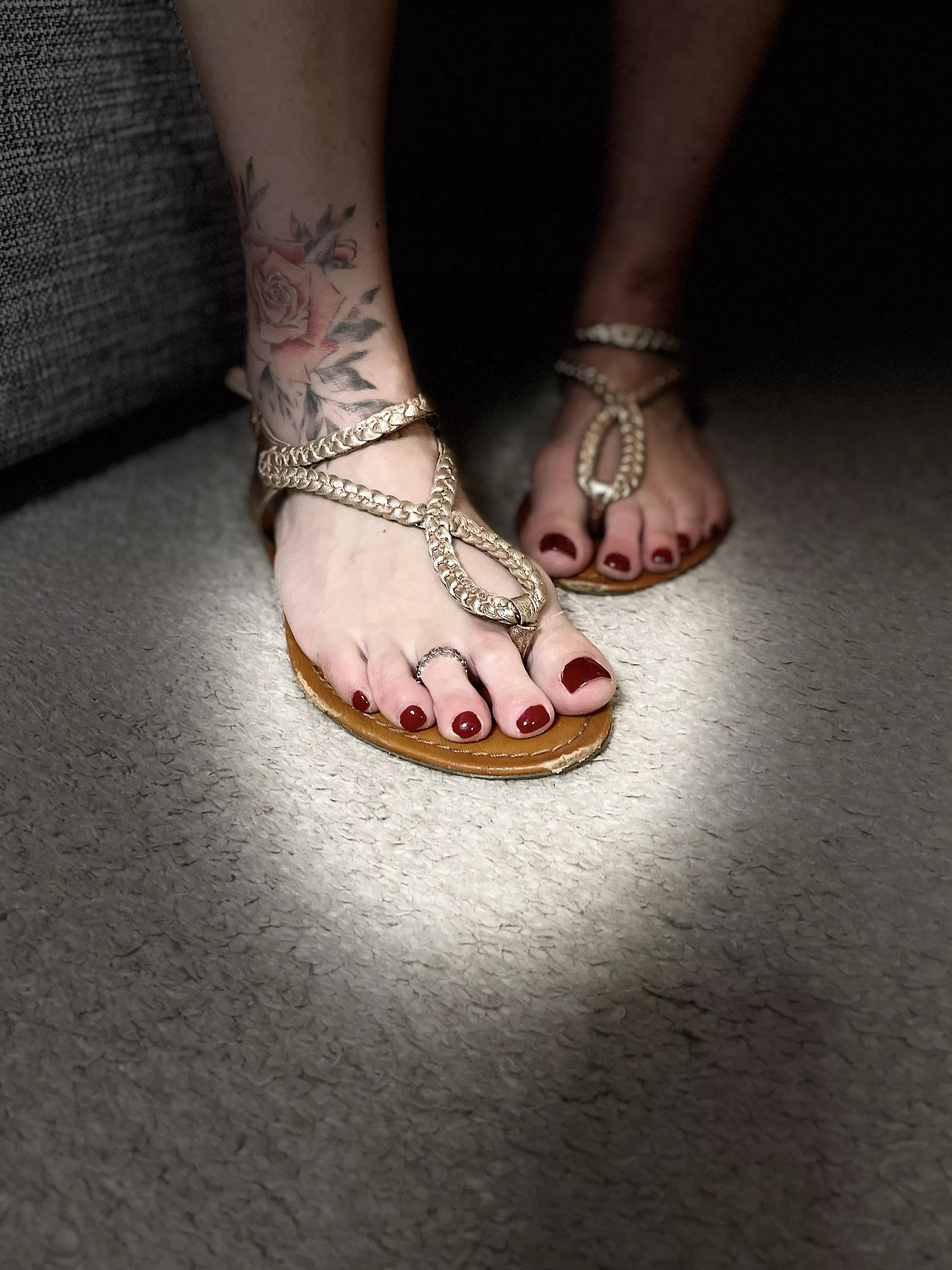 Shine a light …. posted by Justabitrude_