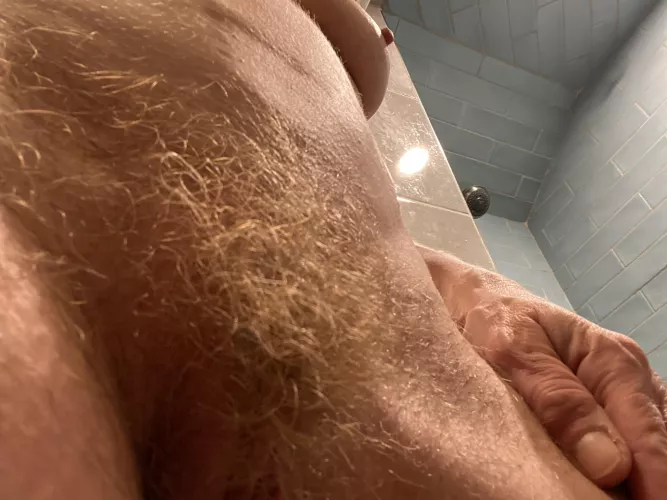 Shine bright like a carrot top by WendyPitts