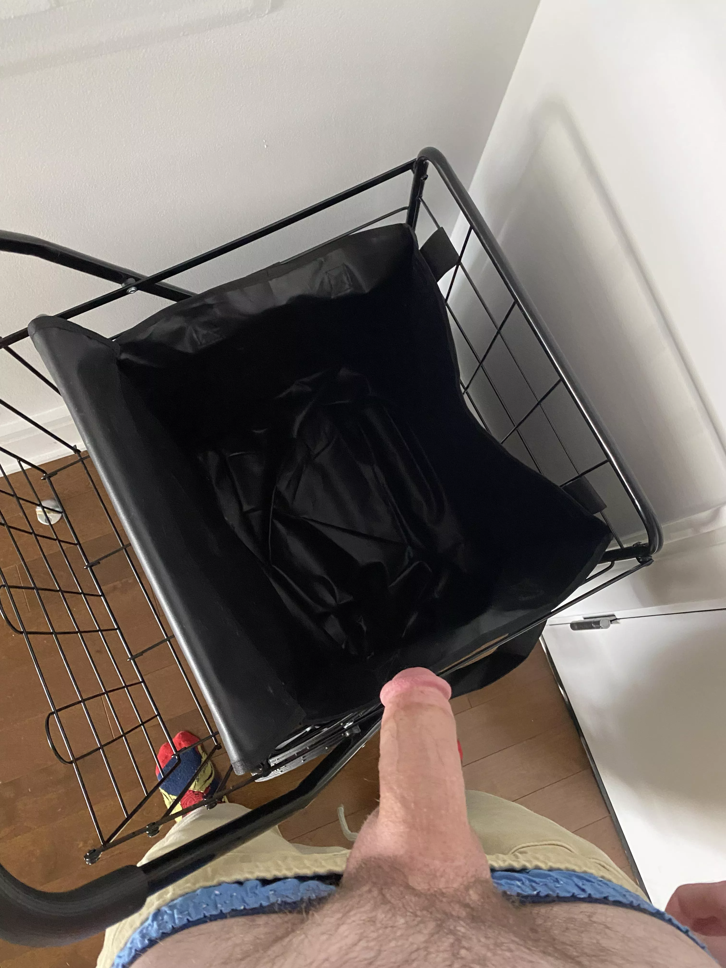 Shopping cart! 🤠 posted by FreddieAlfredo