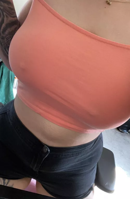 Short shorts for the summer? by ChrisPCat