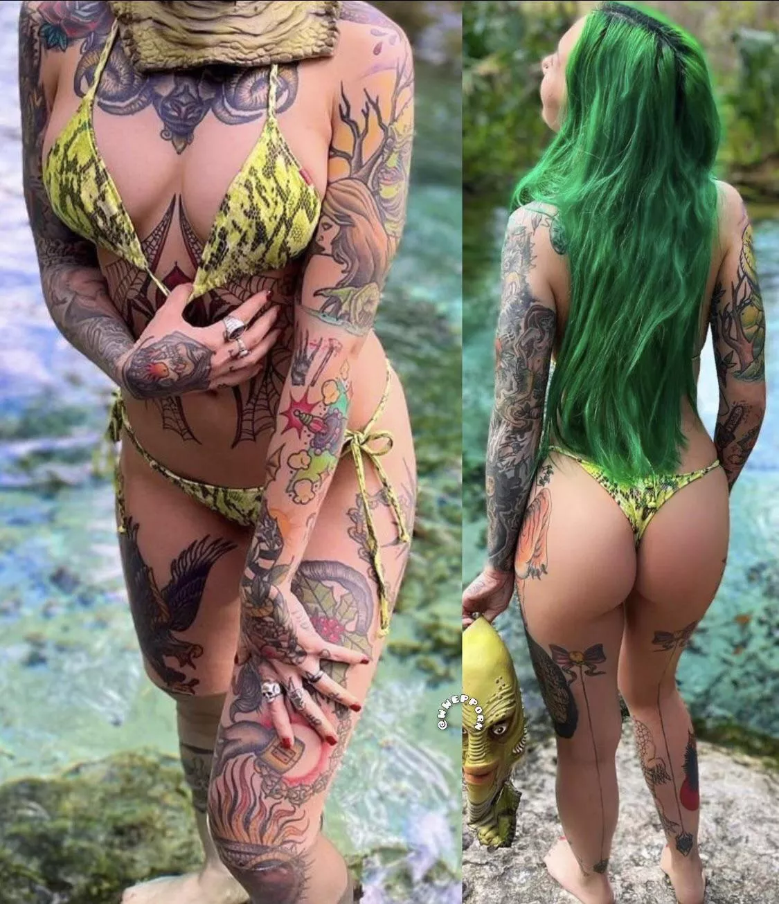 Shotzi needs a shot posted by HornyafKody