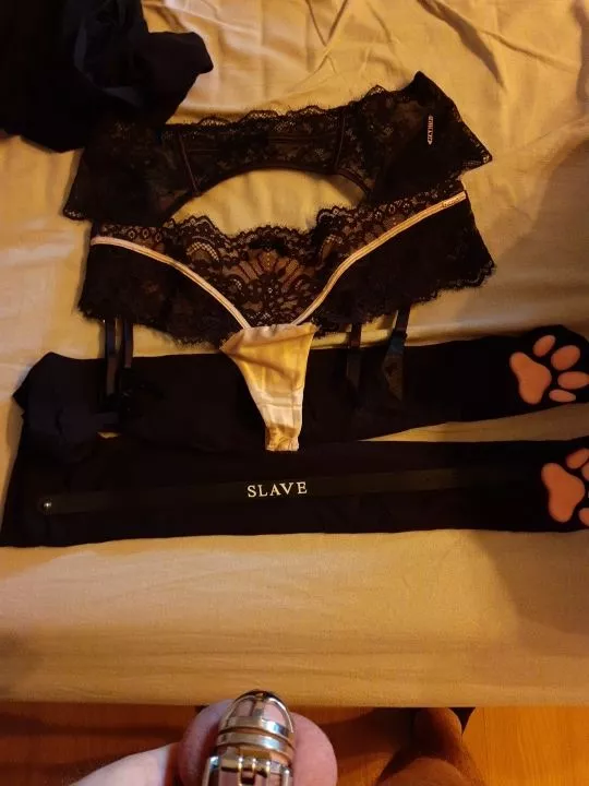 should I? posted by MikePersonals