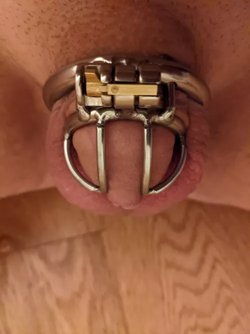 Should I buy a smaller cage? 😏 by warmcookie00