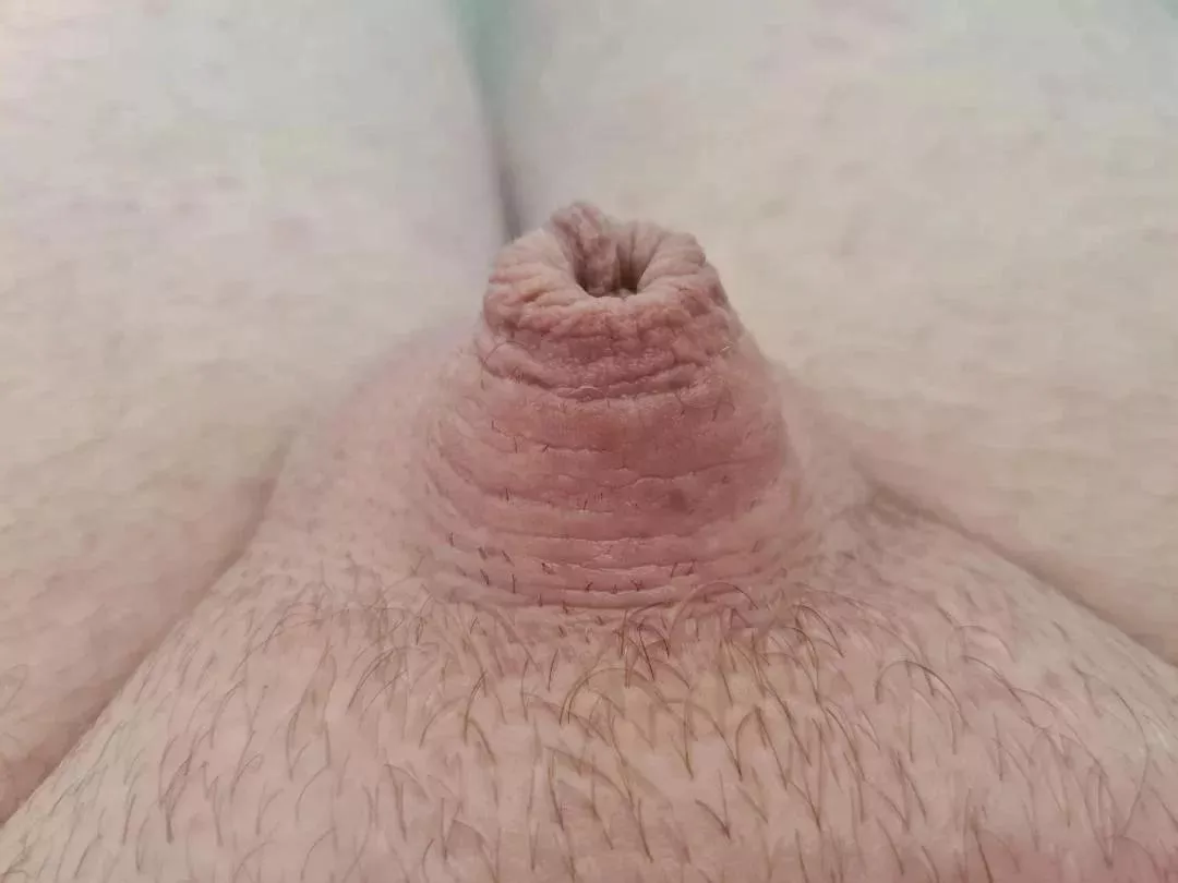 Should I cage it posted by MarriedSubSissy