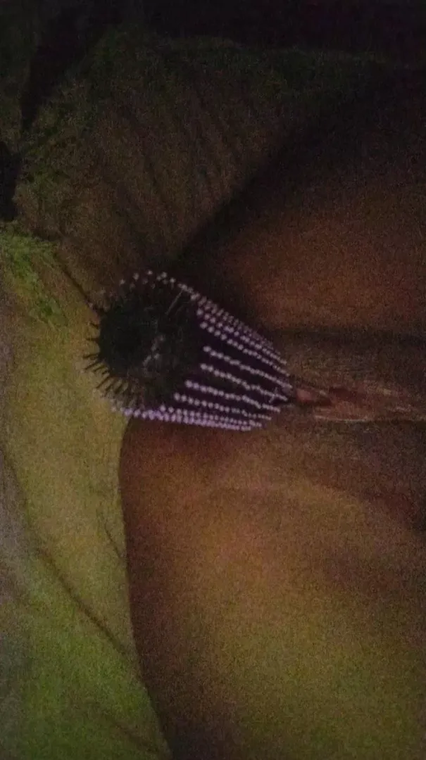 should i fuck my pussy with the other side of the brush? posted by annoninternet